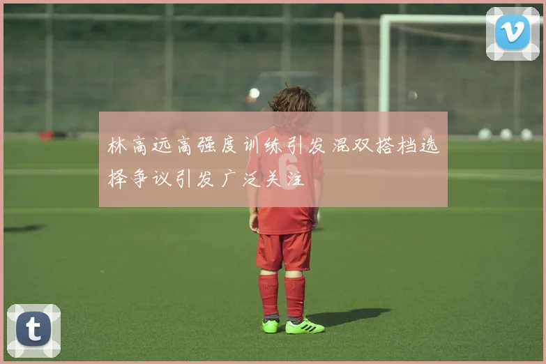林高远高强度训练引发混双搭档选择争议引发广泛关注
